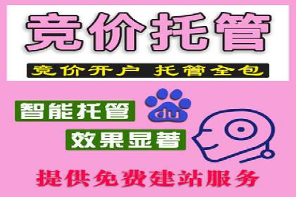 百度推广运营实战：从入门到精通